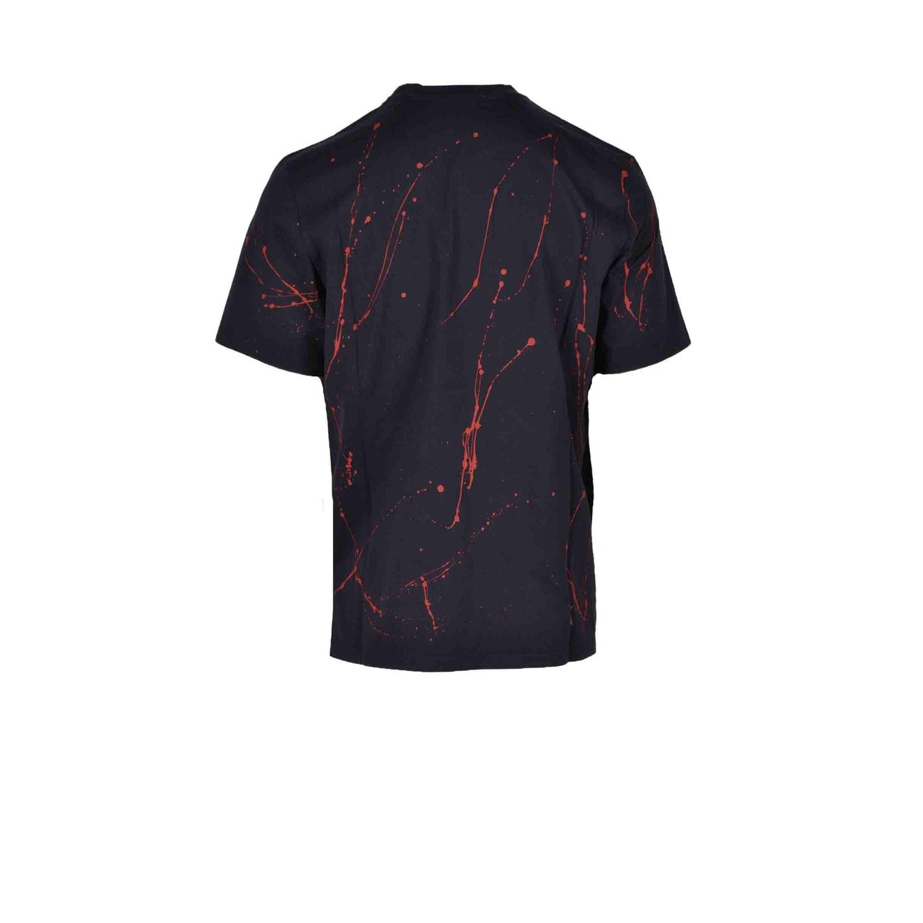 Мужская футболка Dario Argento X Msgm