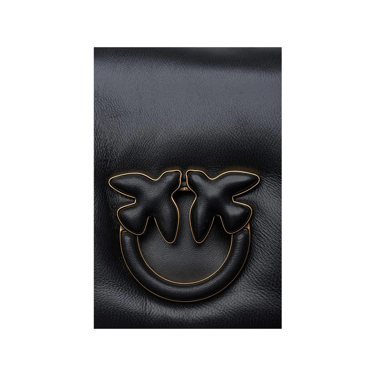 Pinko Qadın Çantası