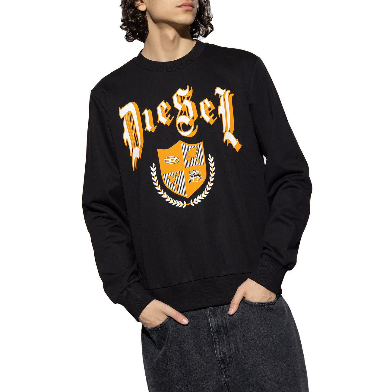 Diesel Men Sweatshirts