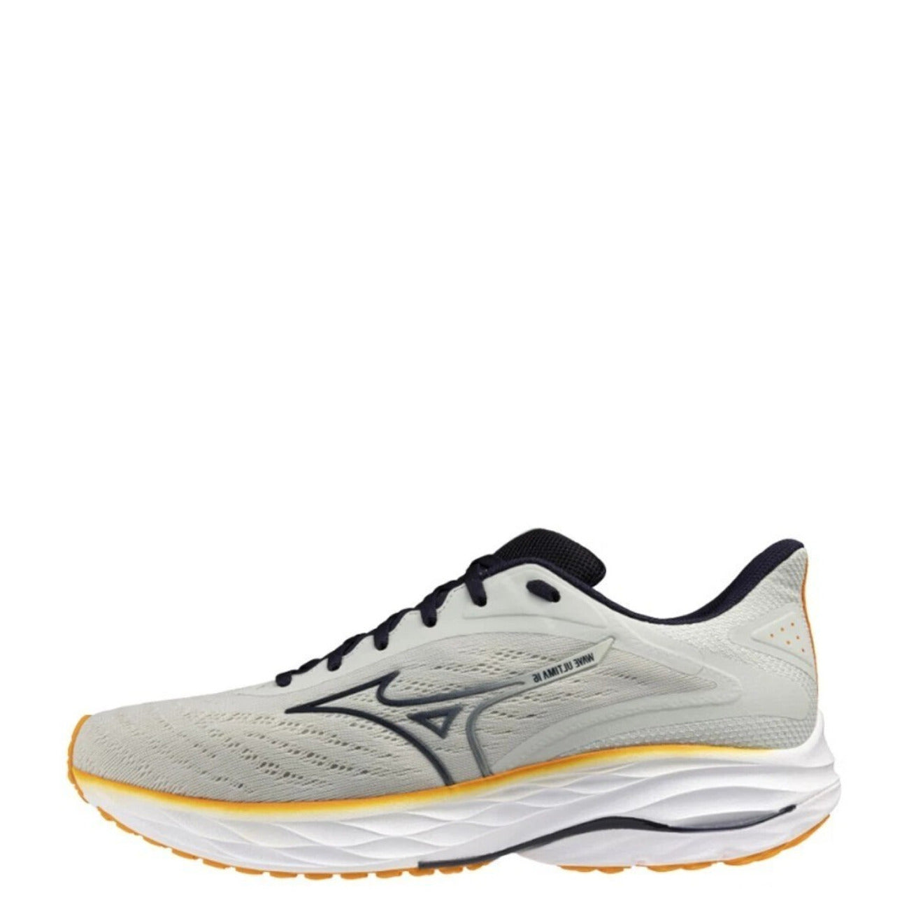 Mizuno Men Sneakers